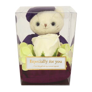 sTCYtjlR t[Mtg Êj j Pj Ďj j hV̓ FB Fl v[g t[AWg