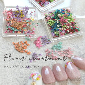 yňlɒztbgA\[g hCt[ WFlC  lC ZtlC  lCA[g t[ lC v`v ԃlC lCp[c W WN