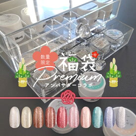 送料無料 アンバサダーコラボ プレミアム福袋 ジェルネイル パーツ シール スターターキット ネイルデザイン【クーポン対象外】