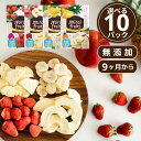 乳児用規格適用食品 フリーズドライフルーツ ミライフルーツ 未来果実 いちご りんご バナナ パイナップル みかん 選べる10パックセット 無添加 砂糖不使用 ベビーフード 防災
