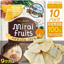 ミライフルーツ パイナップル ×10パック 未来果実 フリーズドライフルーツ 乾燥 無添加 砂糖不使用 ベビーフード ヨーグルト シリアル グラノーラ お菓子作り