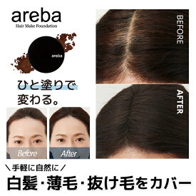 白髪隠し 薄毛隠し 白髪隠し ヘアファンデーション 円形脱毛 隠し 抜け毛カバー 薄毛カバー ヘアラインメーク 白髪隠し 韓国コスメ お家で簡単メイク ヘアラインメークにも使えます 小顔効果対策 母の日 父の日 ギフト