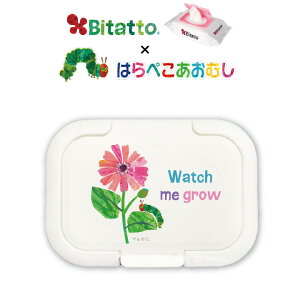 ŒZyXzBitatto r^bg ͂؂ނ ~jTCY [ނƃt[] EFbgV[g ӂ ӂ t^ GbN J[ LN^[ ObY 킢y[