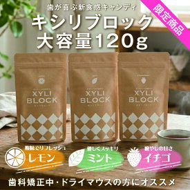 ★限定販売大容量120g★ キシリトール 100% キャンディー タブレット キシリブロック あめ アメ こども 虫歯 甘い 爽快感 歯磨き ノンシュガー 糖類オフ 歯 矯正 防災
