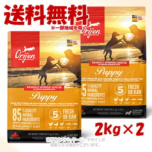 �u���������Z�b�g�v���K�i Orijen �p�s�[ �h�b�O 2kg×2�Z�b�g �u�I���W���W���p���v�y��������(�ꕔ�n�������)�z