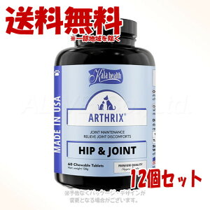 s|Cg3{tJwX A[XbNX 60 × 12Zbg ut@^W[[hvy(ꕔn)z