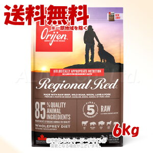 ���K�i Orijen ���W�I�i�����b�h �h�b�O 6kg �u�I���W���W���p���v�y��������(�ꕔ�n�������)�z