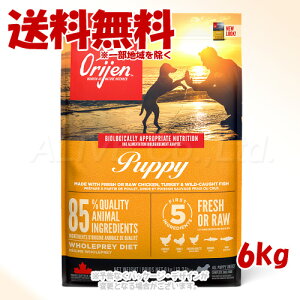 ���K�i Orijen �p�s�[ �h�b�O 6kg �u�I���W���W���p���v�y��������(�ꕔ�n�������)�z