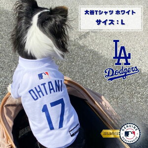 MLB hW[X JTVc L zCg t@^W[[hy(ꕔn)z