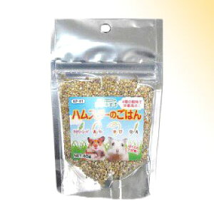 Rh錾 nX^[̂͂ 40g uybgt[hvyv8,800~ȏő(ꕔn)z