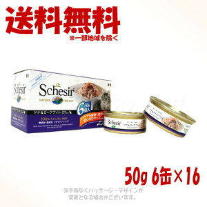 VVA Lbg ciwithr[ttB 50g×6P ×16Zbg t@^W[[hy(ꕔn)z