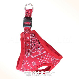 yCY[\tgn[lX SS bh u쐻쏊vyS([ւ̂)z