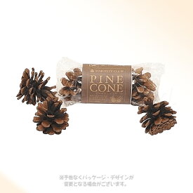 KAWAI PINE CONE 3個入 ｢川井｣【合計8,800円以上で送料無料(一部地域を除く)】