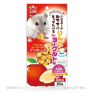 ĂĂɂĂׂXC[c 񂲃[Og 60g u}Jvyv8,800~ȏő(ꕔn)z