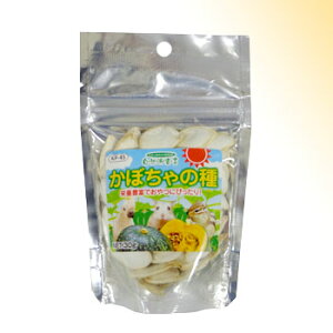 s|Cg2{tRh錾 ktڂ̎ 30g uybgt[hvyv8,800~ȏő(ꕔn)z