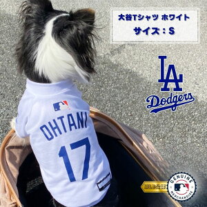 MLB hW[X JTVc S zCg t@^W[[hyS([ւ̂)z