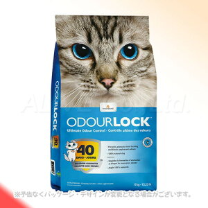 L I[hbN 6kg ybgvWpy(ꕔn)z