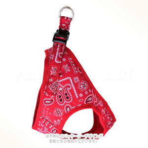 yCY[\tgn[lX M bh u쐻쏊vyS([ւ̂)z