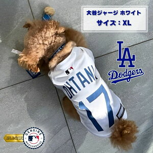 MLB hW[X JW[W XL zCg t@^W[[hy(ꕔn)z