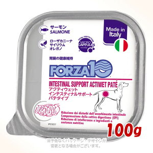 sN[|Lts|Cg10{tFORZA10 hbO CeXeBi(ݒPA) ANeBEFbg pe T[ 100g gbRC^[iViyv8,800~ȏő(ꕔn