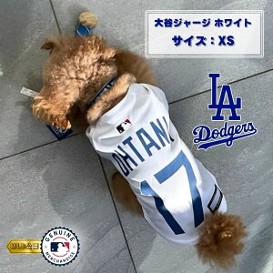 MLB hW[X JW[W XS zCg t@^W[[hyS([ւ̂)z