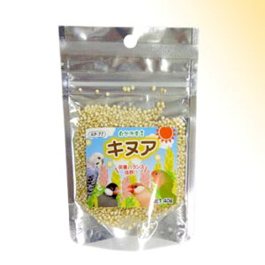 Rh錾 LkA 40g uybgt[hvyv8,800~ȏő(ꕔn)z