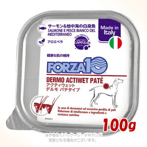 sN[|Lts|Cg10{tFORZA10 hbO f(畆EуPA) ANeBEFbg pe T[&nC̔g 100g gbRC^[iViyv8,800~ȏő(