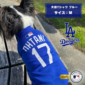 MLB公式 ドジャース 大谷Tシャツ M ブルー ｢ファンタジーワールド｣【全国送料無料(メール便のみ)】