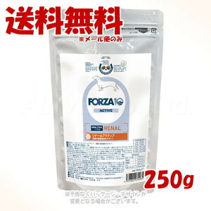 sN[|LtFORZA10 hbO i[ANeBu(tPA) ~j 250g gbRC^[iViyS([ւ̂)z