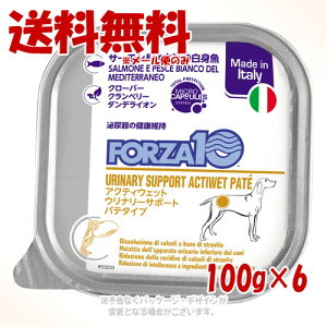 s|Cg3{tFORZA10 hbO Ei?(APA) ANeBEFbg pe T[&nC̔g 100g × 6Zbg gbRC^[iViyS([ւ̂)z