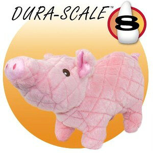 }CeB(MIGHTY) Ԃ M[ŵEʂ݁xkX^[tH[GWjAOЁlyv8,800~ȏő(ꕔn)z