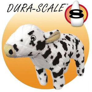 }CeB(MIGHTY) EV M[ŵEʂ݁xkX^[tH[GWjAOЁlyv8,800~ȏő(ꕔn)z