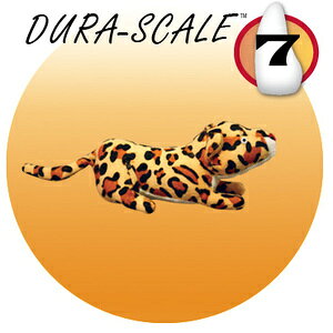 }CeB(MIGHTY) qE WjAŵEʂ݁xkX^[tH[GWjAOЁlyv8,800~ȏő(ꕔn)z