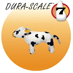 }CeB(MIGHTY) EV WjAŵEʂ݁xkX^[tH[GWjAOЁlyv8,800~ȏő(ꕔn)z