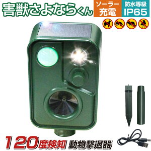 ǔL  y1,000~OFFN[|s VLOz L悯 ފ L g ZT[ JX悯 ΍   \[[ USB[d ǔL΍ pl hH  悯  ދ@ JX 