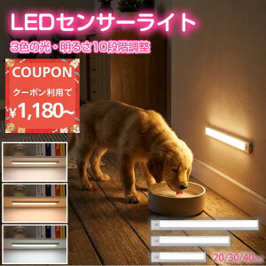 �Z���T�[���C�g �l���Z���T�[ LED �[�d�� 3�F�ؑ� 10�i�K���� 20cm 30cm 40cm �}�O�l�b�g�� �V�[�� ���� �X���� ���^ ���� �L�� �N���[�[�b�g ������ �o�[���C�g ���� ���F USB Type-C �������