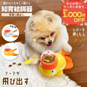 yKiz m狋a Aq a a ybgm  F̃Aq m  P  яo   m Hh~ Əo  􂦂 Ck GT 