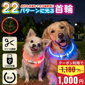 ＼クーポン利用で1000円~／ 光る 首輪 犬 レインボー ペット 夜 散歩 発光 点滅 USB 充電式 首輪 ライト led ペット 充電 小型犬 中型犬 大型犬 犬用品 ドッググッズ 安全 夜 さんぽ ひかる 安全 事故防止 自転車 リード 点灯 猫