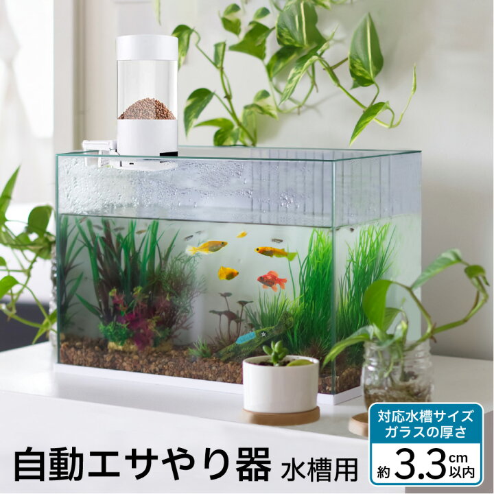 楽天市場】ランキング 1位 受賞 給餌器 自動給餌器 魚 熱帯魚 餌やり器 
