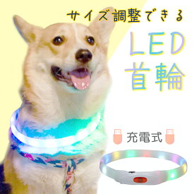 犬 散歩 首輪 ライト 光る 首輪 led ペット 充電 小型犬 中型犬 大型犬 犬用品 ドッググッズ 安全 夜 さんぽ ひかる 安全 事故防止 自転車 リード 点滅 点灯 猫