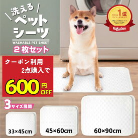 【2枚セット】＼ 洗える ペットシーツ 2点購入で600円OFF★11/19 9:59迄 クーポン利用／ 洗えるペットシート 犬 マット 猫 布 ペットシート おしっこパッド トイレマット 防水 ペットマット おしっこシート トイレ下敷き 漏れない 多頭買い 大判 イヌ ネコ