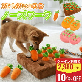 【正規品】 ペット おもちゃ ノーズワーク 犬 にんじん にんじん畑 ペット ぬいぐるみ マット ノーズワークマット ペット用品 知育玩具 訓練 用品 嗅覚 トレーニング 犬 知育