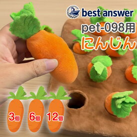 pet-098にんじんin畑専用 替えにんじん