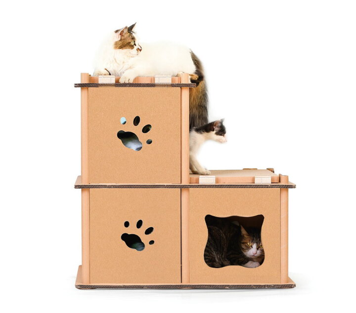 楽天市場 キャットハウス ミニ 猫用爪研ぎ おもちゃ キャットタワー ストレス解消 簡単組立 多頭飼い 段ボール製 ジャングルジムタイプミニ ステップ 段ボール 子猫 遊び道具 おしゃれ ねこ 猫 ネコ 運動 玩具 ダンボールハウス キャットタワー 爪研ぎ ペットラボ館