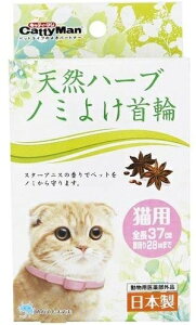 y󂠂E[։zLeB[} VRn[u m~悯 Lp(1R)@pbP[Wɓicݓj@`OX֋yу[ցiNbN|XgjŔ]̕A250~