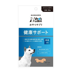 【期限切れ】おやつサプリ　犬用　健康サポート　80g　賞味期限2024年3月末日　おやつタイプのサプリメント