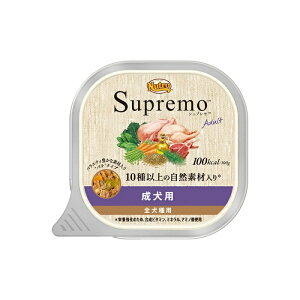 j[g@Vv@p@gC@100g@̏dǗEJ[PA@p@EFbgt[h