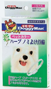 yKiE[։zhM[} ybgJ[ n[um~悯 ^p@`OX֋yу[ւŔ]̕A250~őΉIڂ͏iǂ݂I