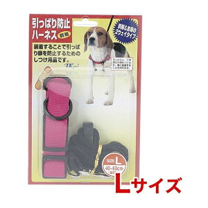 yAEgbgiz^[L[ ςh~n[lX LTCY@pbP[WivX`bNjɎ኱̓iEF򂹁Eꓙjꍇ܂Ig͗Ǖił