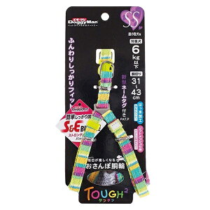 y݌ɌzhM[} ^t^t@ SS ~gXgCv ^p n[lX